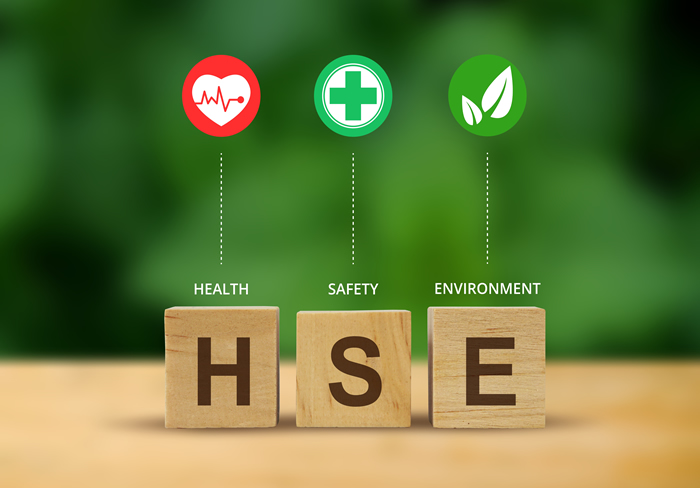 Mastering Artificial Intelligence (AI) for Safety Professionals: Hazard Identification & Risk Reduction Techniques